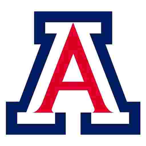 Arizona Wildcats Basketball