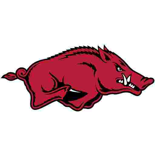 Arkansas Lady Razorbacks Women's Volleyball Tickets