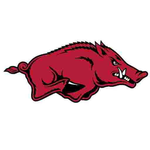 Arkansas Lady Razorbacks Tickets