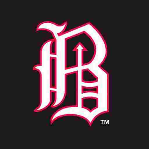 Birmingham Barons