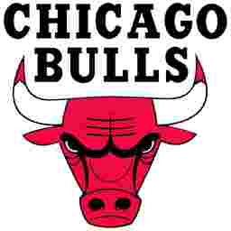 Performer: Chicago Bulls