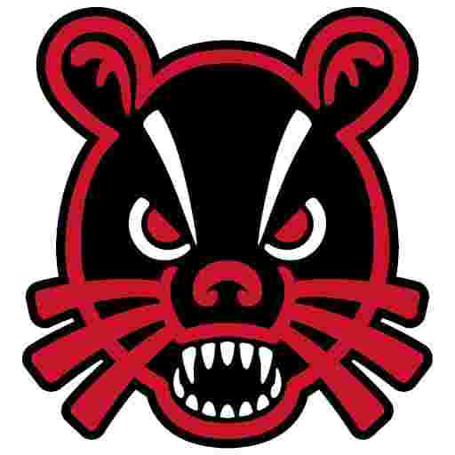 Cincinnati Bearcats Basketball