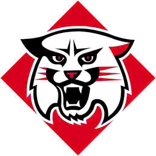 Davidson Wildcats Basketball