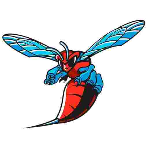 Delaware State Hornets Football