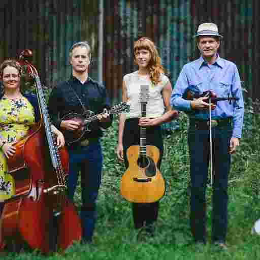 Foghorn Stringband Tickets