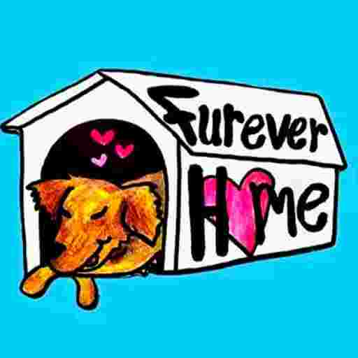 Furever Home Tickets