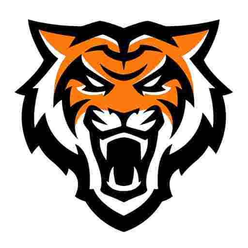 Idaho State Bengals Basketball