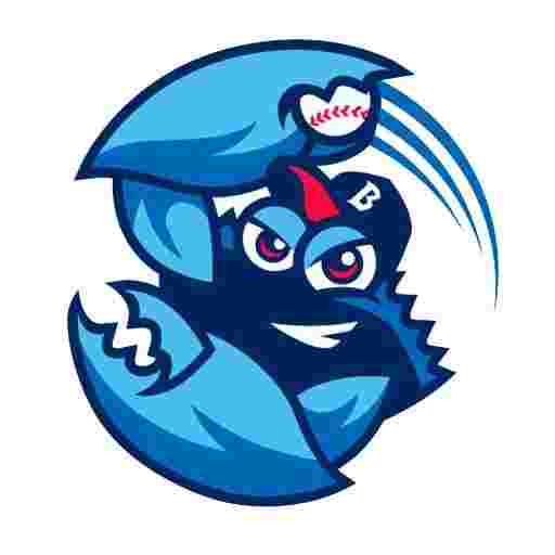 Jersey Shore BlueClaws Tickets