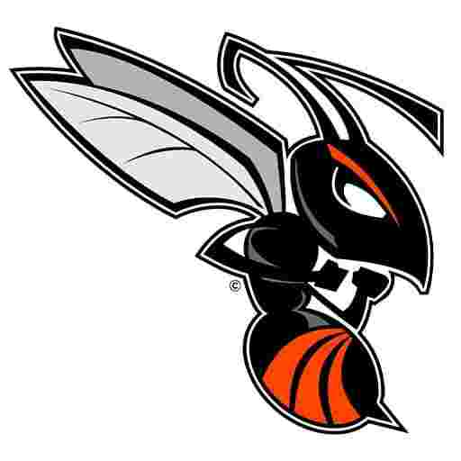 Kalamazoo College Hornets Basketball Tickets