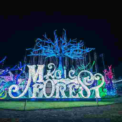 Lantern Festival Magic Forest Tickets