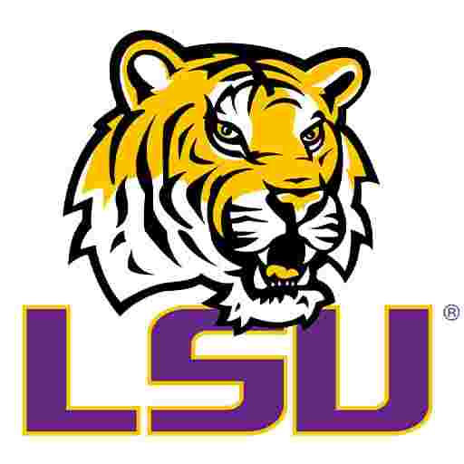 LSU Tigers Women's Volleyball Tickets