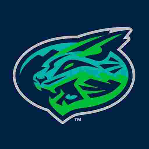 Lynchburg Hillcats Tickets