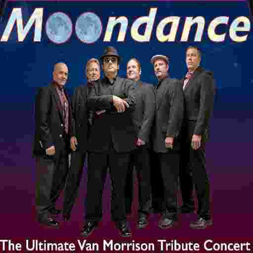 Moondance - Van Morrison Tribute