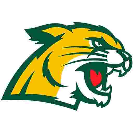 Northern Michigan Wildcats Hockey Tickets