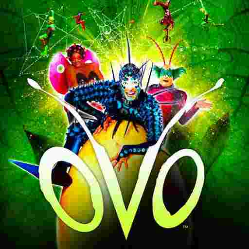 Cirque du Soleil - Ovo Tickets