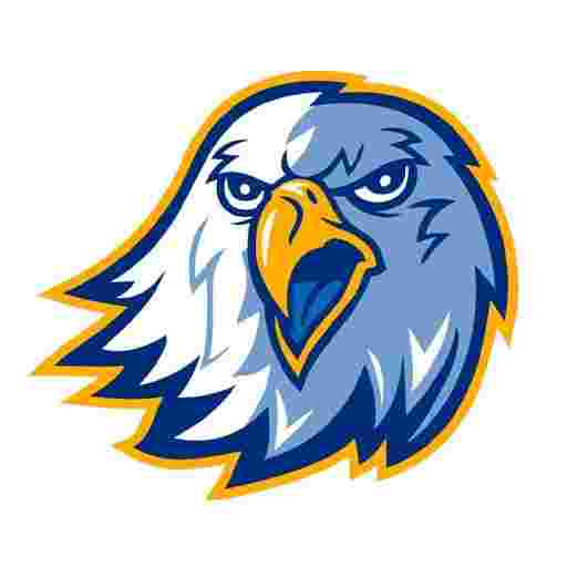 Reinhardt Eagles Basketball Tickets