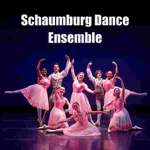 Schaumburg Dance Ensemble Tickets