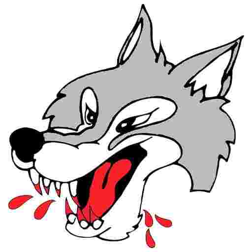 Sudbury Wolves