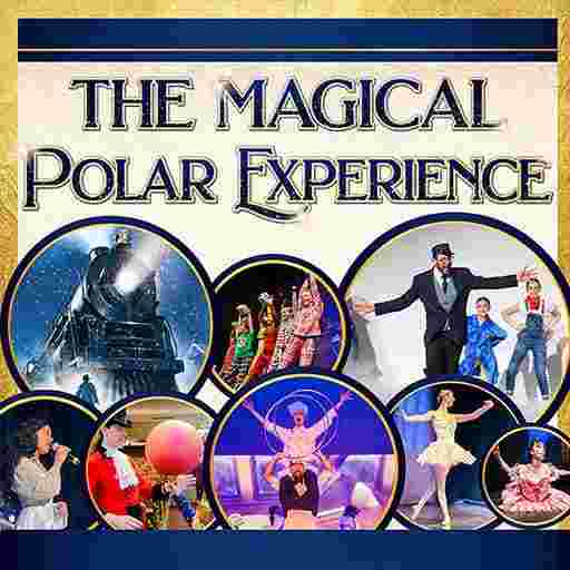 The Magical Polar Experience Tickets