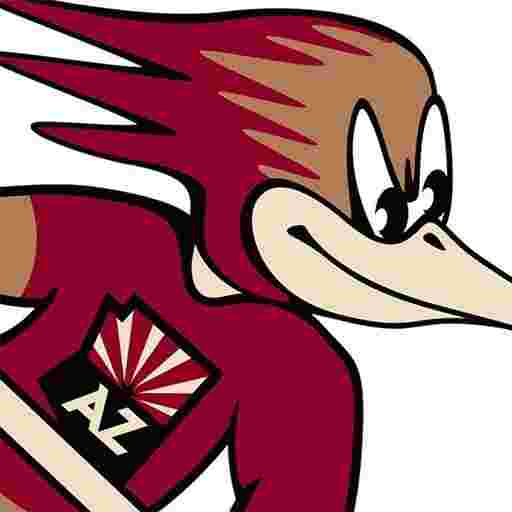 Tucson Roadrunners