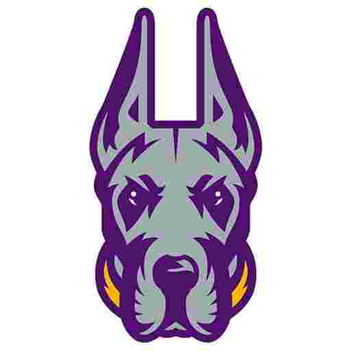 UAlbany Great Danes Football