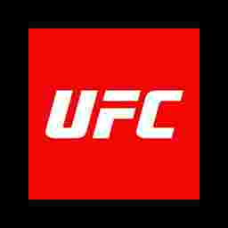 Performer: UFC 303