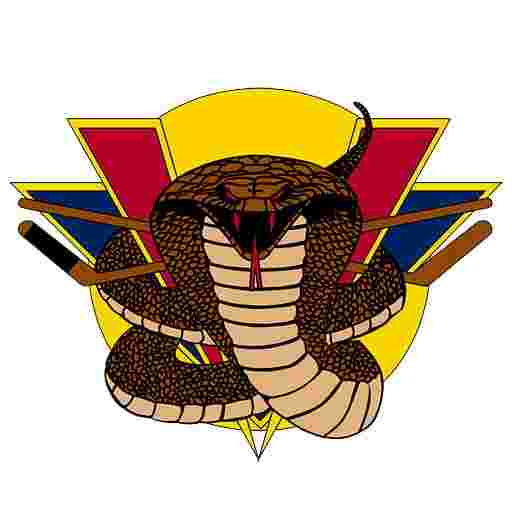 Vernon Vipers