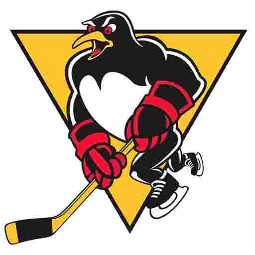 Wilkes-Barre Scranton Penguins