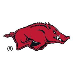 Arkansas Lady Razorbacks Women's Basketball vs. LSU Tigers