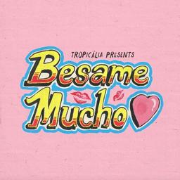 Besame Mucho: Enrique Iglesias, Shakira, Pitbull & Los Tigres Del Norte