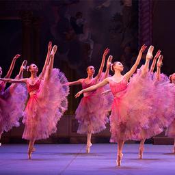 Boston Ballet: Next Generation
