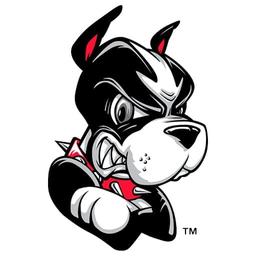 Boston University Terriers Hockey
