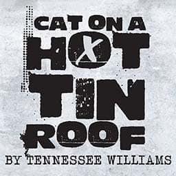 Cat On A Hot Tin Roof