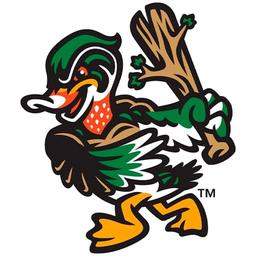 Down East Wood Ducks