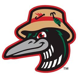 Great Lakes Loons