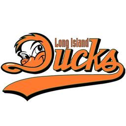 Long Island Ducks vs. Charleston Dirty Birds