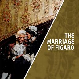 Marriage Of Figaro