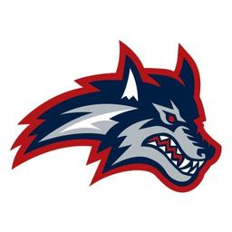 Stony Brook Seawolves vs. St. Joseph's-Long Island Golden Eagles