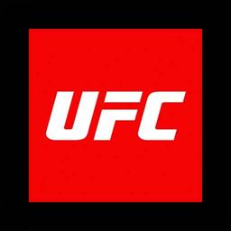 UFC 307