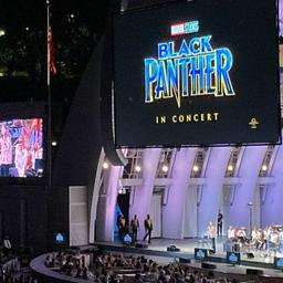 Chicago Philharmonic Orchestra: Black Panther in Concert
