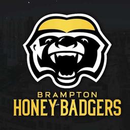 Brampton Honey Badgers vs. Niagara River Lions