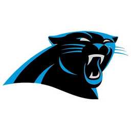 2024 Carolina Panthers Season Tickets (Includes Tickets To All Regular Season Home Games)
