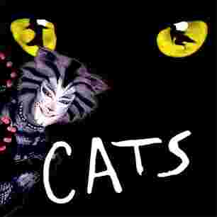 Cats Tickets