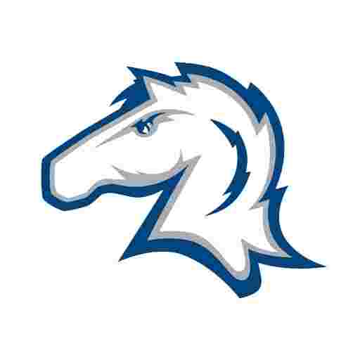 Hillsdale College Chargers Basketball Tickets
