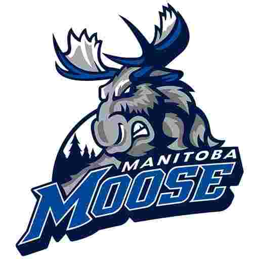 Manitoba Moose Tickets