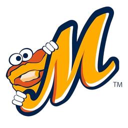 Montgomery Biscuits vs. Chattanooga Lookouts