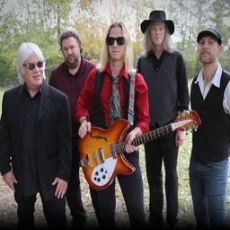 The Wildflowers - Tom Petty and The Heartbreakers Tribute