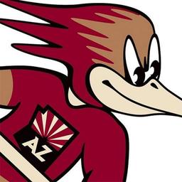 AHL Western Conference First Round: Tucson Roadrunners vs. Calgary Wranglers - Home Game 3, Series Game 3 (If Necessary)
