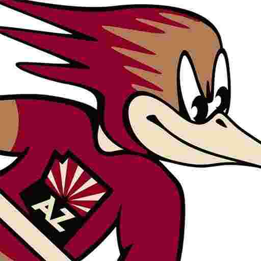 Tucson Roadrunners Tickets
