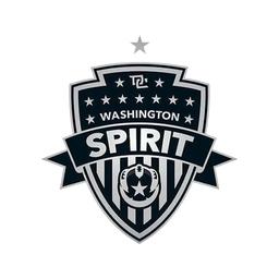 Washington Spirit vs. NJ/NY Gotham FC